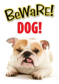 Warnschild Beware! Dog! Englische Bulldogge
