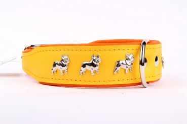 Motiv Halsband Französische Bulldogge 4cm breit Lederhalsband