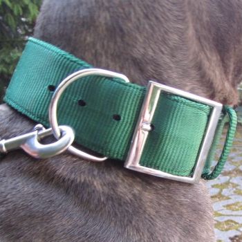 Nylonhalsband Grün Dogge Bulldog Molosser Pit Bull Rottweiler Dobermann Halsband