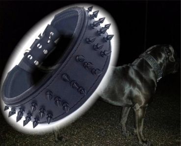 Schwarzer Riese Halsband Killernieten 6,5cm breit Pit Bull Molosser Dogo Dogge