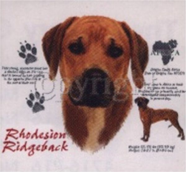 Motiv Rhodesian Ridgeback 4