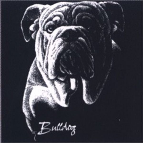 Motiv Englische Bulldogge 9