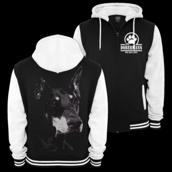 Baseballjacke Dobermann BOSS Kapuzenjacke