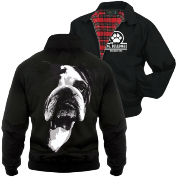 Harrington Jacke Englische Bulldogge BOSS