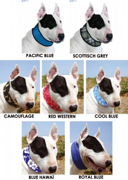 Aqua Hunde Kühlhalsband Kühlendes Halsband Kühl Halsband Dog Dogs Cooling Collar