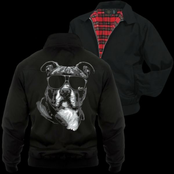 Harrington Jacke American Staffordshire Terrier SUMMER