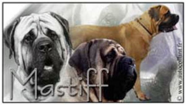 Aufkleber Mastiff 1