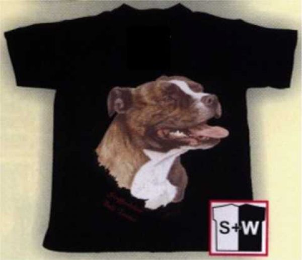 Motiv Staffordshire Bull Terrier Kopf