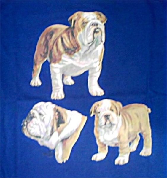 Motiv Englische Bulldogge 3er Gruppe