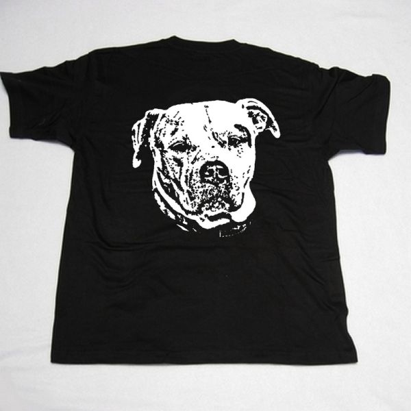 American Bulldog Motiv 1