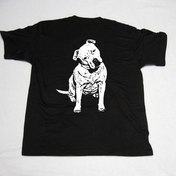 American Bulldog Motiv 3