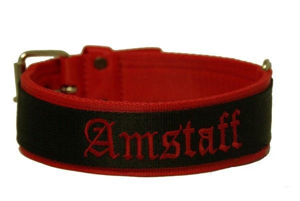 American Staffordshire Terrier - Am Staff Halsband Nylonhalsband