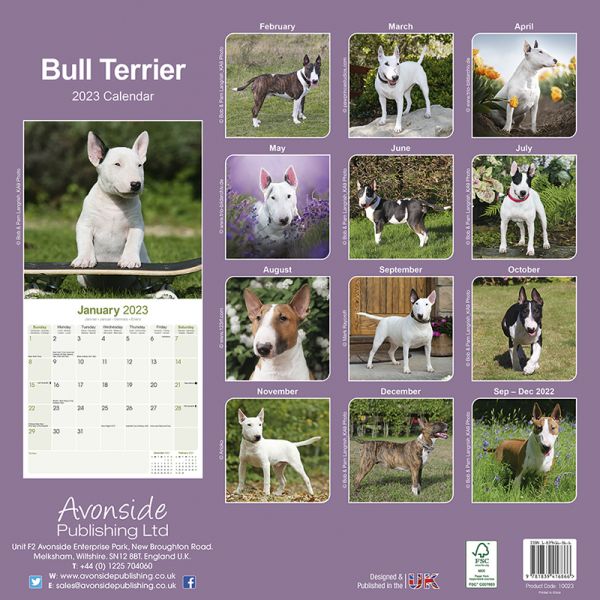 Kalender 2023 Bullterrier