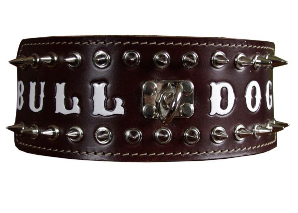 Bulldog Spitzkopfnieten Nieten Halsband Leder 8 cm breit