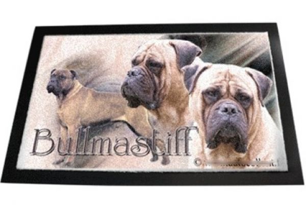 Designer Fussmatte Bullmastiff 1