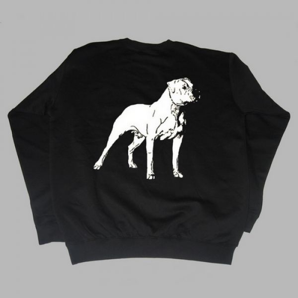 Dogo Argentino Motiv 7
