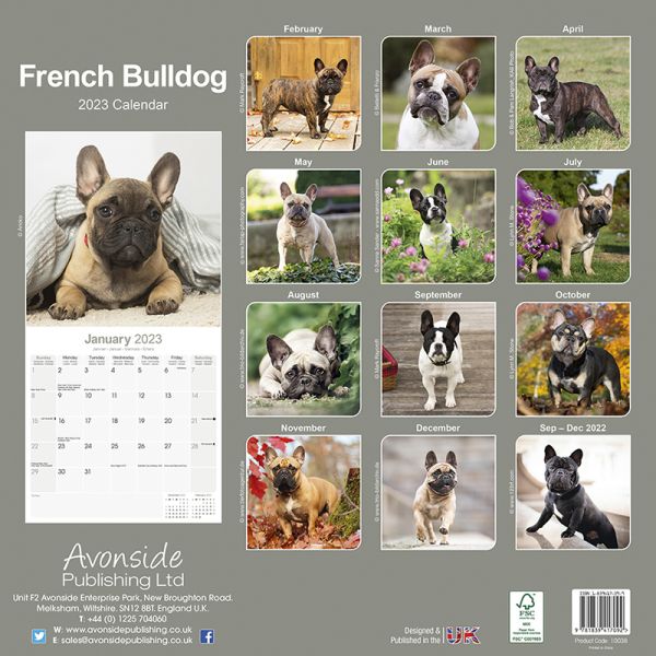 Kalender 2023 Französische Bulldogge