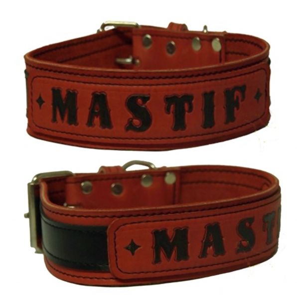 Mastiff Leder Halsband  5 cm breit