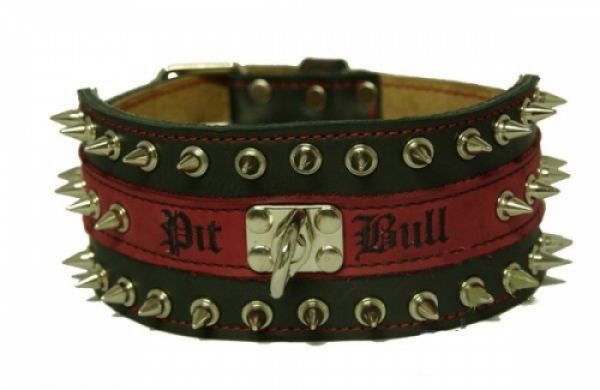Pit Bull Spitzkopfnieten Nieten Halsband Leder 8 cm breit