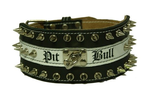 Pit Bull Spitzkopfnieten Nieten Halsband Leder 8 cm breit