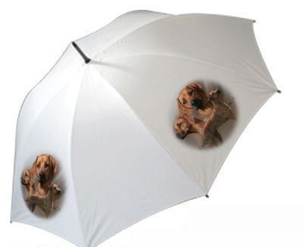 Regenschirm Motiv Rhodesian Ridgeback 2