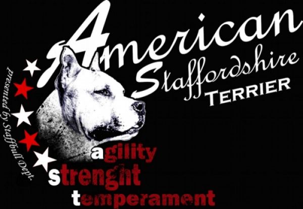 American Staffordshire Terrier T-Shirt Motiv AST