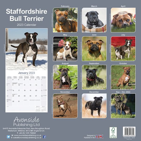 Kalender 2023 Staffordshire Bullterrier