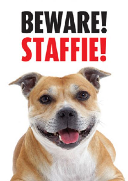 Warnschild Beware! Staffordshire Bullterrier