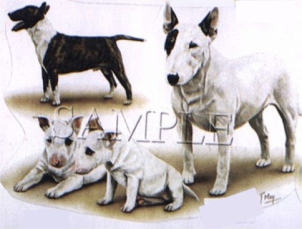 Motiv Bullterrier Familie