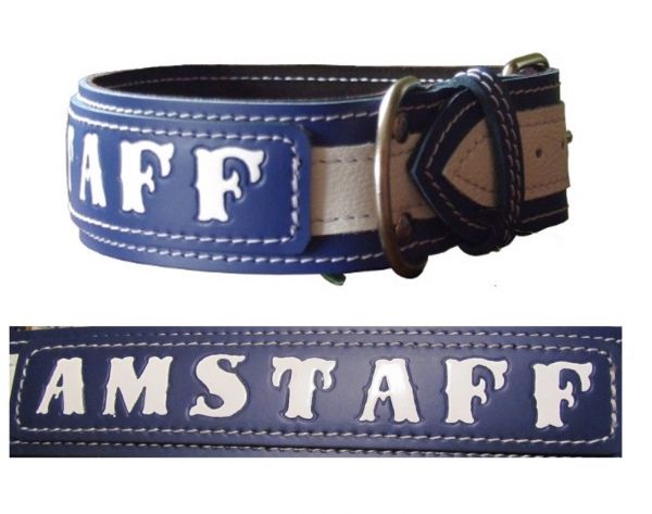 American Staffordshire Terrier - Am Staff Halsband Lederhalsband