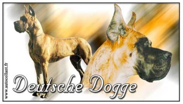 Aufkleber Deutsche Dogge 3 braun