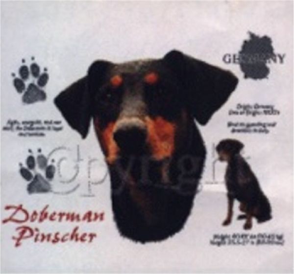 Motiv Dobermann Pinscher unkupiert 4