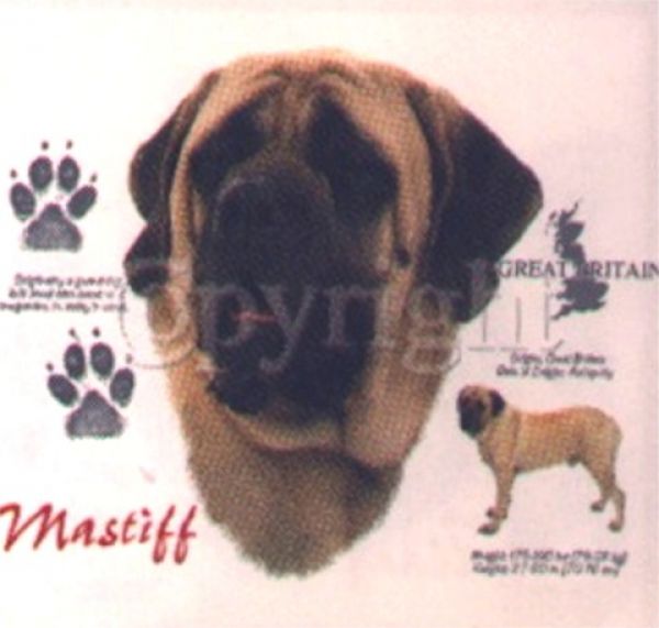 Motiv Mastiff 4