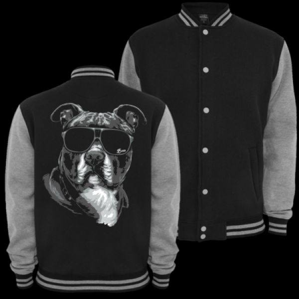 Baseballjacke American Staffordshire Terrier SUMMER Kapuzenjacke