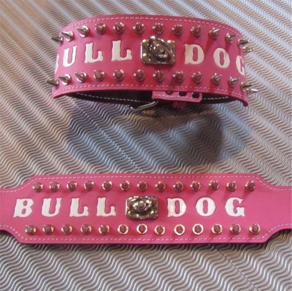 Bulldog Spitzkopfnieten Nieten Halsband Leder 8 cm breit - Kopie