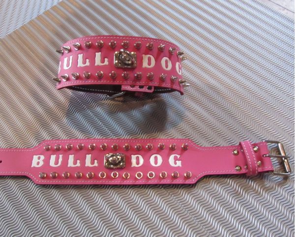 Bulldog Spitzkopfnieten Nieten Halsband Leder 8 cm breit - Kopie