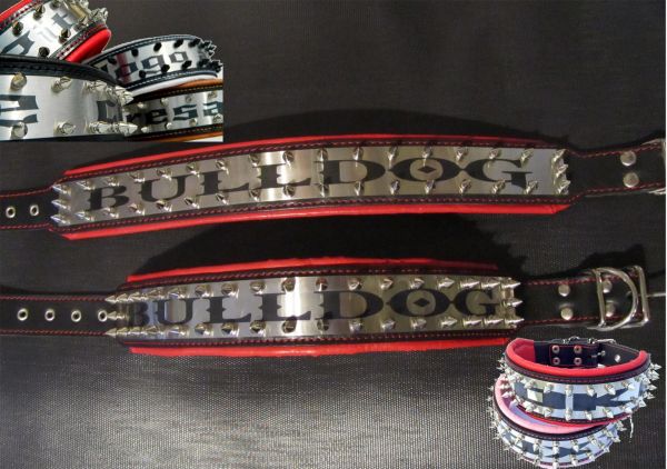 Metall Halsband Killernieten 6,5cm breit American Bulldog Englische Bulldogge