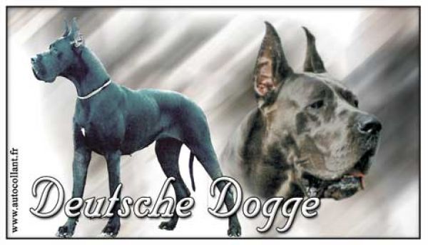 Aufkleber Deutsche Dogge 4 schwarz