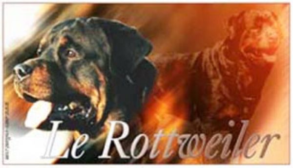 Aufkleber Rottweiler 1