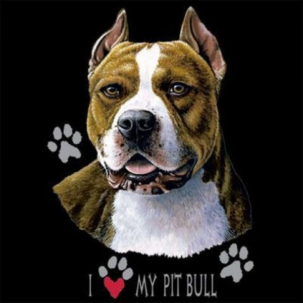 Pit Bull Motiv I Love My Pit Bull