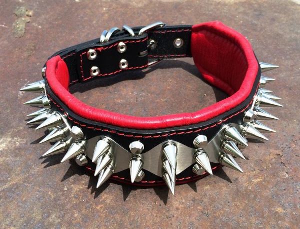 Edelstahl Halsband mit Killernieten 6,5cm breit Pit Bull Bulldog Molosser Dogo