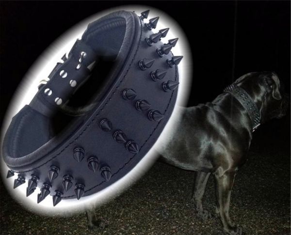 Schwarzer Riese Halsband Killernieten 6,5cm breit Pit Bull Molosser Dogo Dogge