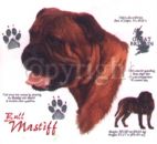 Motiv Bull Mastiff 4
