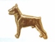 Motiv Dobermann